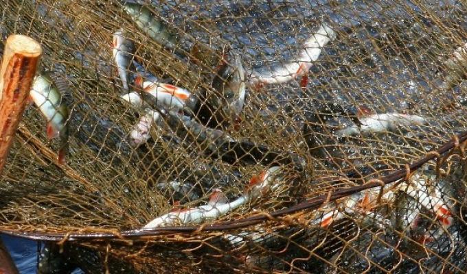 Старобільською місцевою прокуратурою вивчається стан дотримання вимог законодавства у сфері охорони навколишнього природного середовища Старобільською місцевою прокуратурою вивчається стан дотримання вимог законодавства у сфері охорони навколишнього природного середовища