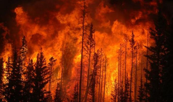 Вогнеборці продовжують гасіння масштабних пожеж на Луганщині: залучено 1 229 людей особового складу та 204 одиниці техніки Вогнеборці продовжують гасіння масштабних пожеж на Луганщині: залучено 1 229 людей особового складу та 204 одиниці техніки