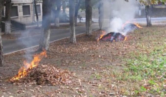 Перш ніж палити листя – добре подумай Перш ніж палити листя – добре подумай