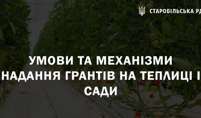 Озвучено роз’яснення щодо механізму надання грантів на теплиці та сади Озвучено роз’яснення щодо механізму надання грантів на теплиці та сади
