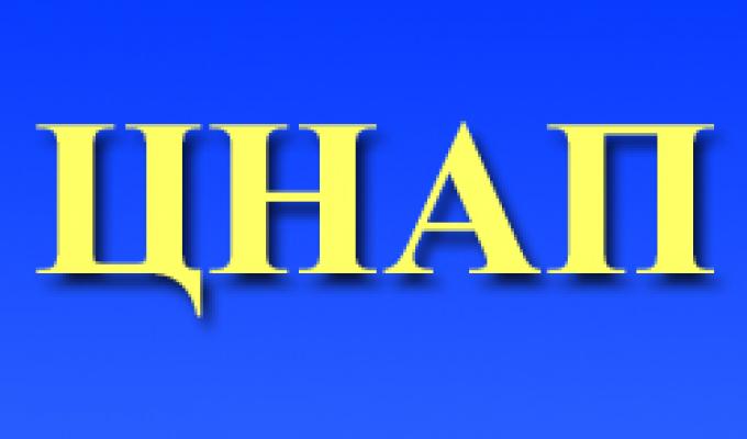 За підсумками роботи центру надання адміністративних послуг у січні-жовтні поточного року було надано 11437 адміністративних послуг