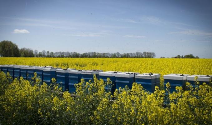 Безпечне проведення робіт із застосуванням пестицидів та агрохімікатів Безпечне проведення робіт із застосуванням пестицидів та агрохімікатів