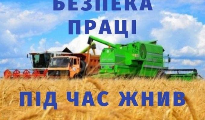 Безпека у сільськогосподарському виробництві під час жнив Безпека у сільськогосподарському виробництві під час жнив