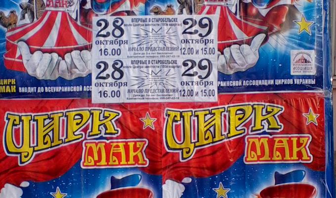 Запрошуємо на циркову виставу!