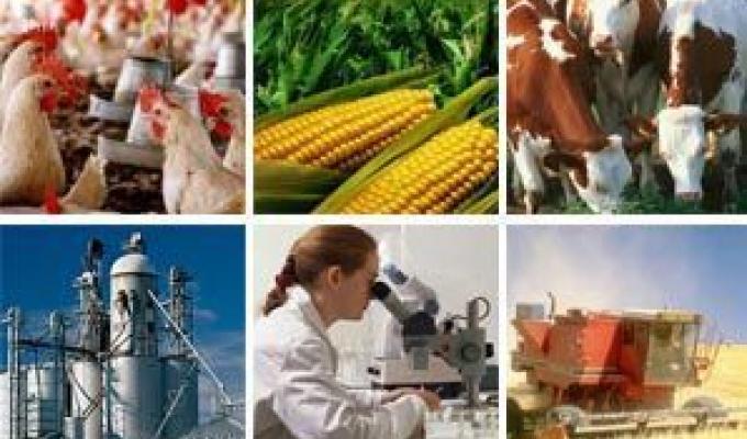 В Старобільському районі проведено нараду на тему «Актуальні питання в галузях агропродовольчого комплексу, програми підтримки сільського господарства на 2020 рік» В Старобільському районі проведено нараду на тему «Актуальні питання в галузях агропродовольчого комплексу, програми підтримки сільського господарства на 2020 рік»