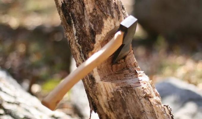 Мешканця Старобільського району судитимуть за незаконну порубку лісу Мешканця Старобільського району судитимуть за незаконну порубку лісу