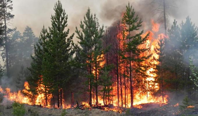 Попередження про високий рівень пожежної небезпеки Попередження про високий рівень пожежної небезпеки