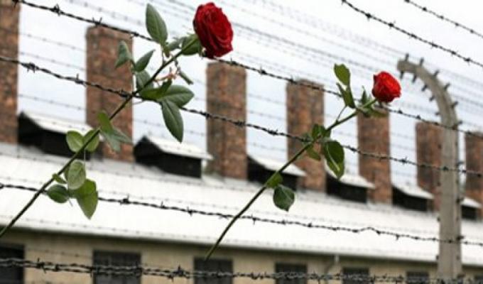 11 квітня – Міжнародний день визволення в’язнів нацистських концтаборів 11 квітня – Міжнародний день визволення в’язнів нацистських концтаборів
