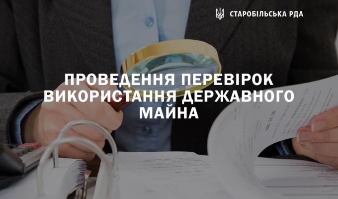 Проведення перевірок використання державного майна Проведення перевірок використання державного майна