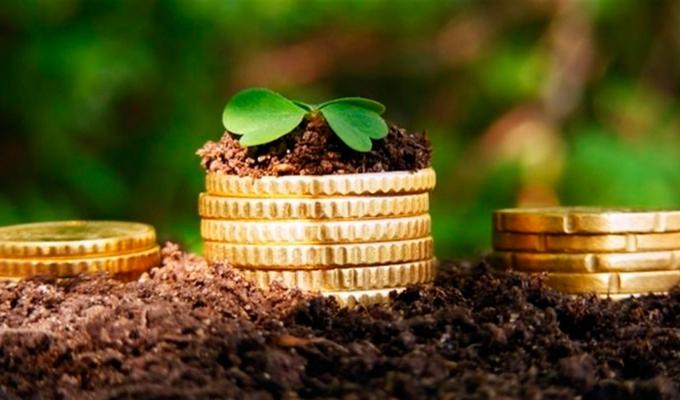 Державні програми 2021 року для сільгосптоваровиробників