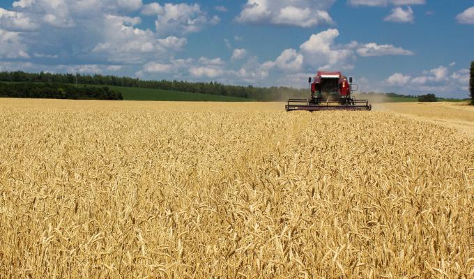На Міловщині розпочалися жнива На Міловщині розпочалися жнива