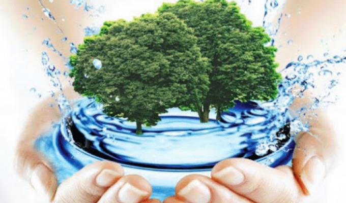 Чисте довкілля – 2020 Чисте довкілля – 2020