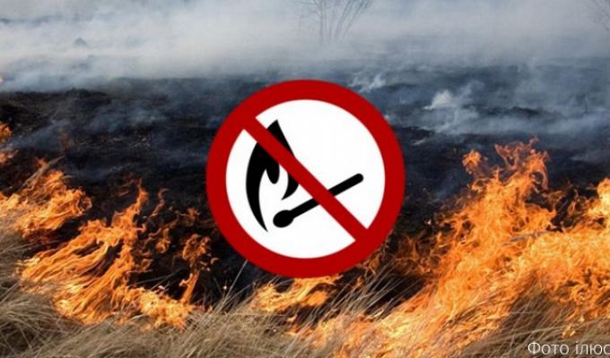 Відповідальність за самовільне випалювання рослинності! Відповідальність за самовільне випалювання рослинності!