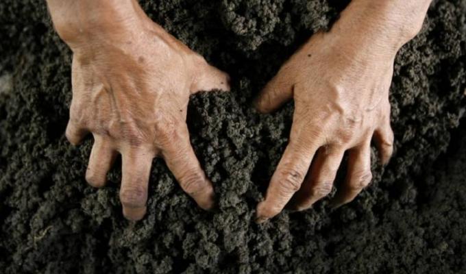 ВІДПОВІДАЛЬНІСТЬ ЗА САМОВІЛЬНЕ ЗАЙНЯТТЯ ЗЕМЕЛЬНОЇ ДІЛЯНКИ ВІДПОВІДАЛЬНІСТЬ ЗА САМОВІЛЬНЕ ЗАЙНЯТТЯ ЗЕМЕЛЬНОЇ ДІЛЯНКИ