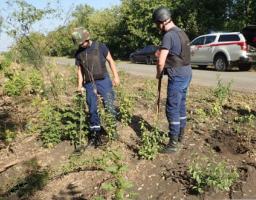 Піротехніками на Луганщині вилучено 17 одиниць вибухонебезпечних предметів 