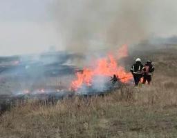 В Марківській громаді проводять рейди з виявлення паліїв сухої рослинності