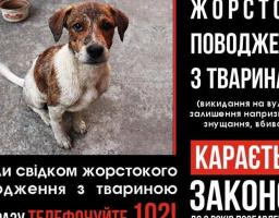 Обвинувальний акт у кримінальному провадженні щодо жорстокого поводження з тваринами направлено до суду