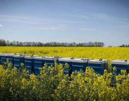 Безпечне проведення робіт із застосуванням пестицидів та агрохімікатів