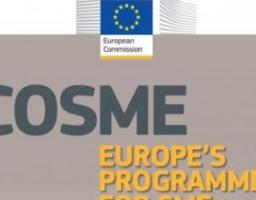 ПРОГРАМА COSME