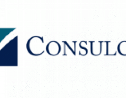 Консультація від експертів CONSULCO