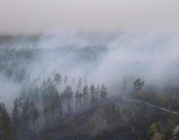 Пожежі на Старобільщині локалізовані