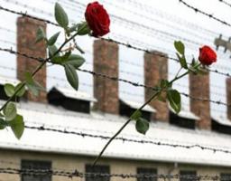 11 квітня – Міжнародний день визволення в’язнів нацистських концтаборів