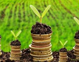 Про індексацію нормативної грошової оцінки земель 2020