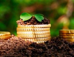 Державні програми 2021 року для сільгосптоваровиробників
