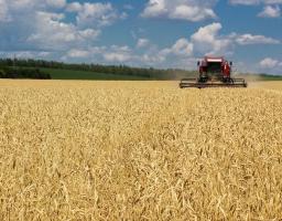 На Міловщині розпочалися жнива