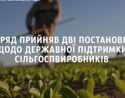 Постанова КМУ «Про затвердження Порядку використання коштів, передбачених у державному бюджеті для відшкодовування втрат від пошкодження посівів сільськогосподарських культур внаслідок надзвичайних ситуацій техногенного та природного характеру»