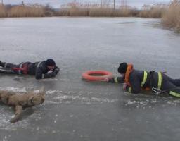 Тонкий лід. Дії у разі потрапляння у крижану воду