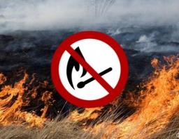 Відповідальність за самовільне випалювання рослинності!