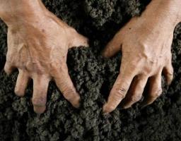 ВІДПОВІДАЛЬНІСТЬ ЗА САМОВІЛЬНЕ ЗАЙНЯТТЯ ЗЕМЕЛЬНОЇ ДІЛЯНКИ